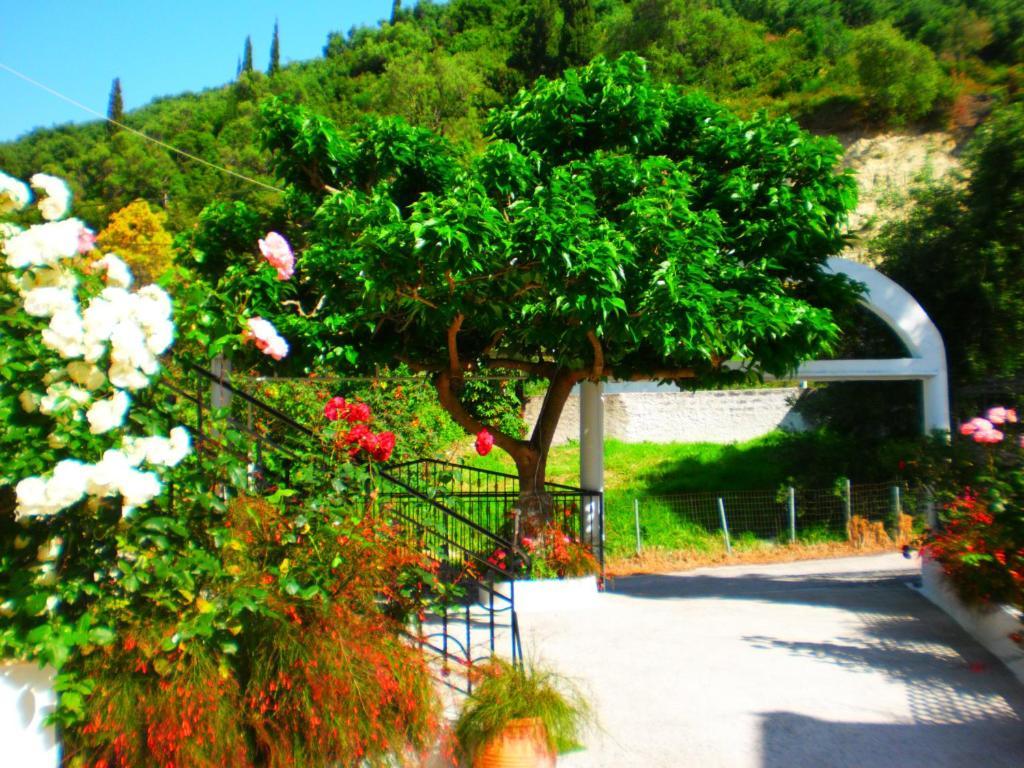 Oasis Parga Exterior foto